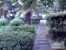 花卉园 花卉园西路三房