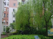 水木年华片区 水木年华湖上二房