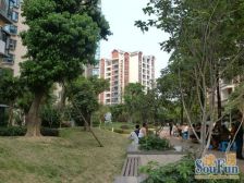 业主诚售92平大两房带两个私家露台花园 南北通透户型