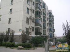 稀有二楼,每天都是流动的风景,享受静谧时光