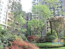 万科魅力之城四期 4室1厅 东南 南