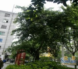 双城1室1厅东北