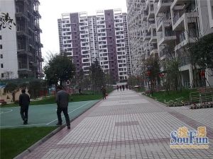 金强大学城3室2厅西北