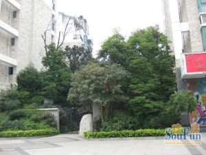 滨河花园(龙泉驿)4室2厅东南
