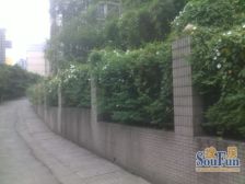 南方新城鑫苑 2室2厅 东