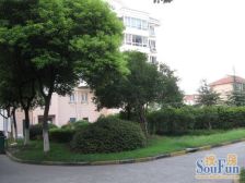 康馨苑,1号口300米,采光好,出行方便