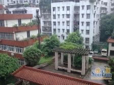 石桥铺商圈,大户型,广场,公园,生活出行,配套齐全