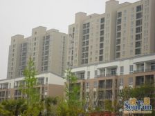 南北通户型+落地阳台+诚心出售+看房方便+满五