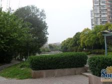 中环旁 近中环百联 双拼别墅 有车库 有露台 带院子