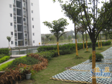 晏家商品房小区房+诚心出售+户型方正采光好