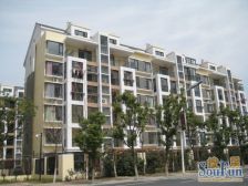 花园洋房,复式结构,临湖,视野开阔,全天阳光有车卡