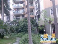 湾华地铁口 低层带65方私家花园 少有放盘 惠景中