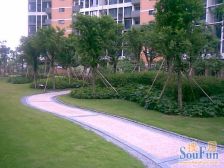 万科金色家园正一房一厅出售 带租约出售