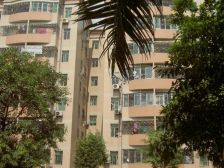 花苑广场 电梯2房 南北对流 业主各付税费