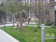 蓝光花满庭一期 3室1厅 南