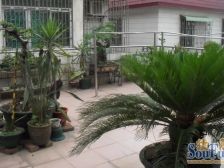 东二中心村共用宗自 建房,5层共550方,南向无遮挡