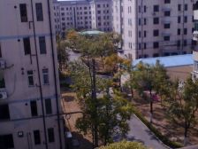 黄金楼层,三房低总价