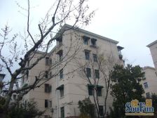 岚皋路300弄2室1厅南