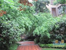 大竹林 龙湖江与城熙溪地四房345万