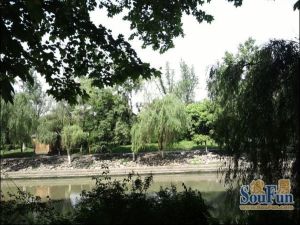 中房蓝水湾3室1厅南
