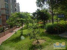 御景花园 大二房 前后没有遮挡 拎包入住