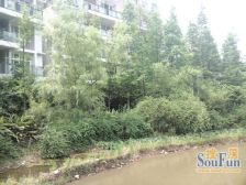 水木年华片区 水木年华湖上一房22.6万