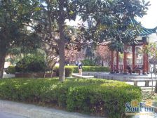 双南两房,户型方正,看房方便,诚意出售