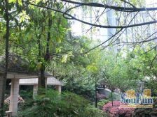 陈家坪 朝阳村二房45万