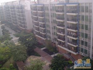 闹中取静,全新电梯望花园大三房,业主诚意出售