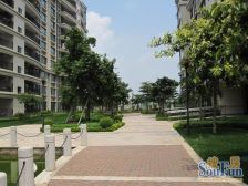 此房采光好 南北对流 通透干爽 地处僻静 旺中带静