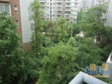 城南名著 2室1厅 东