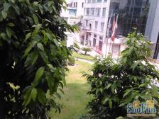 人民中路 1室1厅 南 北