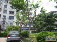 小区中间位置,前后无遮挡,近城市沙滩