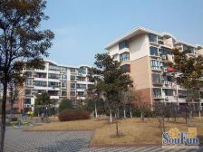 浦发绿城浦三路2801弄 2室2厅 南 北