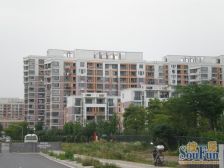 浦江世博家园十三街坊2室1厅南北