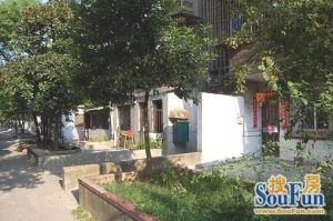 天佑路8号茶厂宿舍户型方正,采光好近地铁视野好,诚心出售
