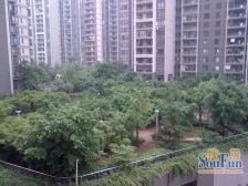 鲁能星城六街区 装修两房保养好 带家具家电 拎包入住