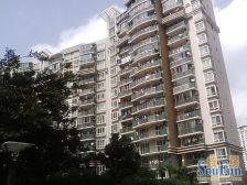 新上南北通两室,高区采光好,汇师小学,徐汇中学