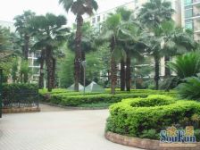 湾华地铁口 电梯两房,正南向 不靠马路安静宜居。