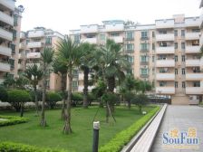 嘉洲花园 低楼层 正规一房一厅 看房方便