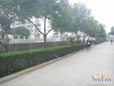 玉兰公寓 3室1厅 南