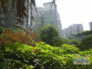 成通小区2室1厅东南