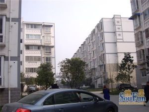 石牛小区3室2厅东北