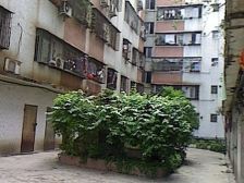 平桂街小区管理,户型方正采光充足精装3房拧包入住