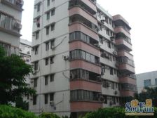 金菊村 产权清晰 近千灯湖 采光好