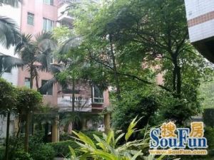 罗村花苑B区,带私家楼顶花园,菜园,果园,一梯两户