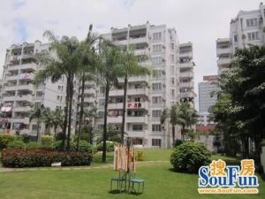 鼓实屏东电梯中层3房2卫客厅带窗单位社区