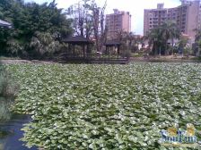 利澳花园130平毛坯大3房 看房方便 业主好沟通