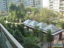 世纪康城,一楼带花园的四房,想种菜的朋友可以来看看