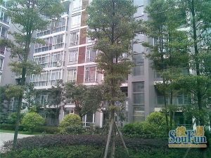万家和新城花园 3室2厅 南